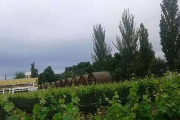 ホテル Apartamento Entre Viñedos