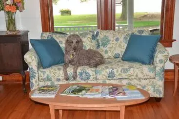 ベッドアンドブレックファースト 434 On Main