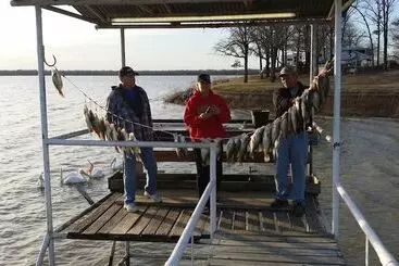 Motelli Minnow Bucket Resort