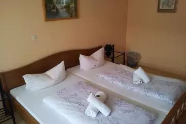 膳宿费 Gasthaus Greifen