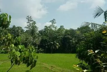 Majatalo Fendi Eco Lodge