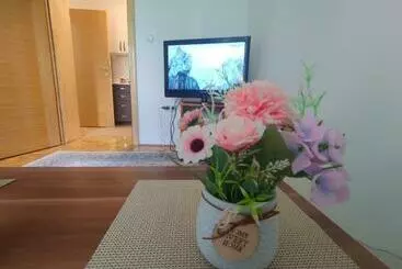 آپارتمان‌های توریست‌ها Apartment Centar