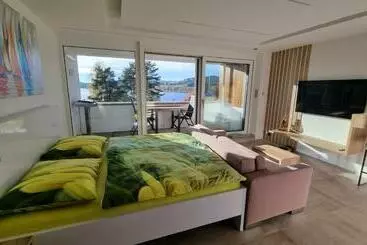 ツーリストアパートメント Apartment No. 29   Riviéra Lipno Nad Vltavou 511