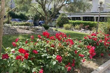 پانسیون Villa Lisa La Quiete E Il Profumo Del Mare