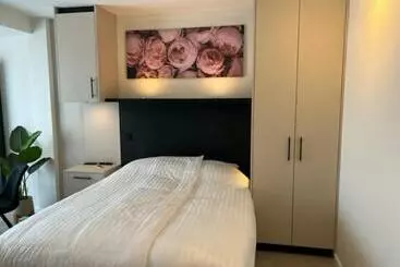 Aparthotel Casa Del Cisne 3