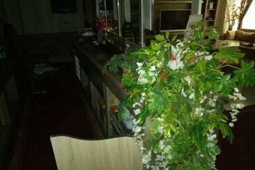 Bed and Breakfast Almin Otel