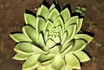 Pension Ikamva Guest House