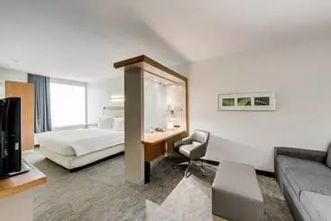 בית מלון כפרי Springhill Suites By Marriott Houston The Woodlands