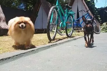 پانسیون Tropical Casa Ubatuba