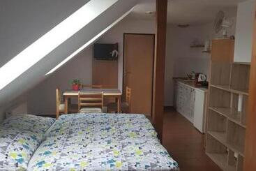 Pensjonat Penzion U Polenů