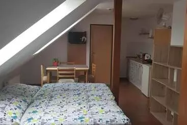ペンション Penzion U Polenů