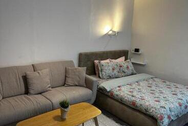 آپارتمان‌های توریست‌ها 1 Bedroom Apartment Near Kadriorg Swan Pond