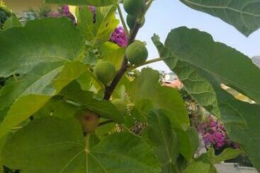 Turistlejligheder Marmaris Tepe Home