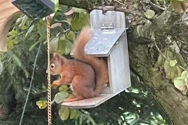 Apartamente turistice Drummond Neuk   Pets Welcome Free, Country Setting, Free Onsite Parking