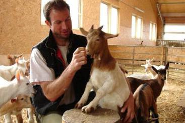 Сельский дом Bauernhof Held Rainer