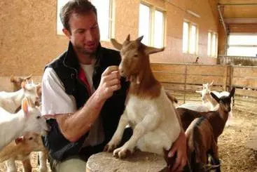 بيت ريفى Bauernhof Held Rainer