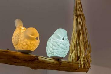 דירות לתיירים L Oiseau Blanc ~ Centre Ville ~ Arrivée Autonome