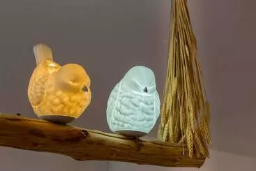 آپارتمان‌های توریست‌ها L Oiseau Blanc ~ Centre Ville ~ Arrivée Autonome