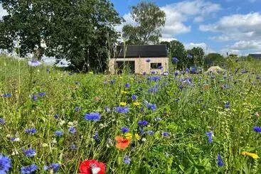 Apartamente turistice Bij De Kei Appelscha