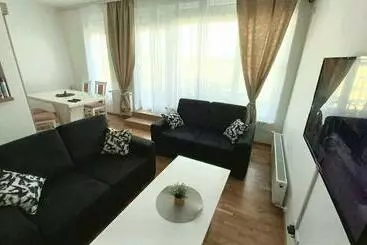 آپارتمان‌های توریست‌ها Penthouse Danube Exclusive, Parking, 90m2, Wifi