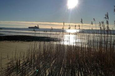 شقق خاصة سياحية Ferienhaus Am Elbdeich