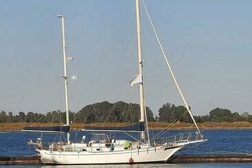 Apartaments turístics Punta De San Felipe. Velero Clásico