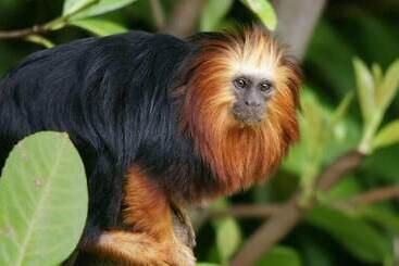 Das Ahlbeck Hotel & Spa