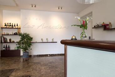 בית מלון כפרי Les Amandiers