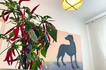 آپارتمانهای توریستها Ditas Seaside Park Apartment
