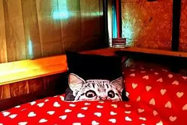 Hotel Rinconcito Dreams