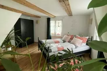 Apartamentos turísticos Schwarzwald Ferienhaus Luisa Für 4 6 Personen 125m