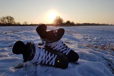 Apartaments turístics Ferienhaus Storchennest
