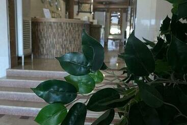 هتل آپارتمان أجنحة اللؤلؤة للشقق المفروشة