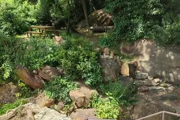 Pansiyon Un Pied Dans La Forêt