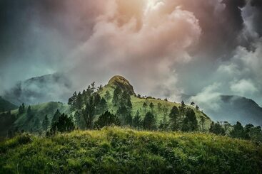 Hotel The Capoe House