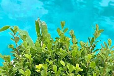 Mikipi Hotel Boutique