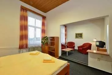 هتل Slavia Tábor