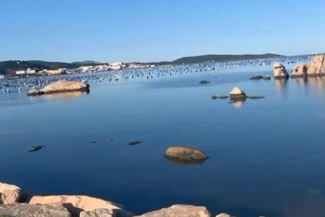 Turista apartmanok Sweet Thought Cottage