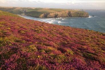 Apartaments turístics Golden Burn Cottage Caravan