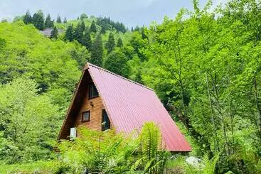 Bed & Breakfast Long River Mountain House   Bungalow