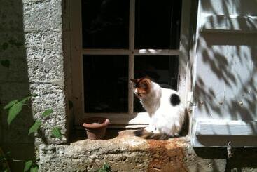 호텔 Chambres D Hotes Hostellerie Le Donjon