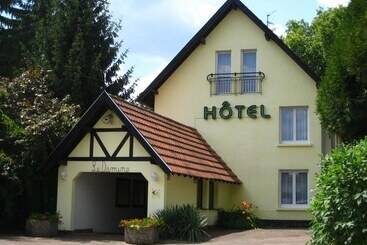 Отель Hôtel Le Domino