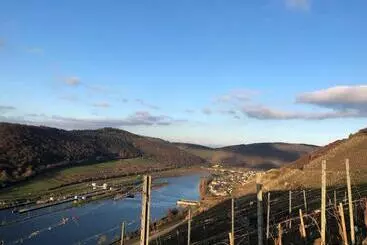 Turistihuoneistot Gemütliches Studio Rosenburgblick In Moselnähe