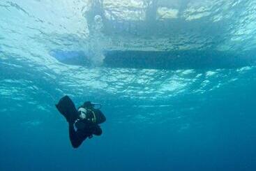 Little Mermaid Dive Resort