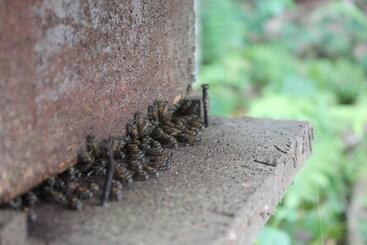 דירות לתיירים Mala S Hideaway