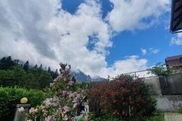 פנסיון Vila Bradet