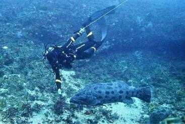 Vakantie-appartementen Utopia In Palm Beach