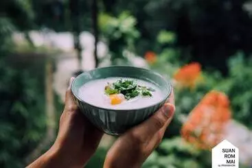 Bed & Breakfast Suan Rom Mai Chanthaburi สวนร่มไม้ จันทบุรี