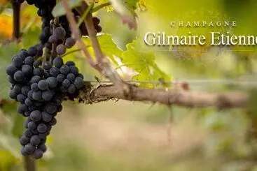 ベッドアンドブレックファースト L Appentis