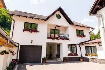 Pensjonat Vila Rodica Transalpina
